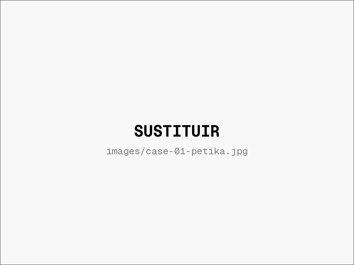 Imagen de muestra — sustituir por foto/gif real de Petika